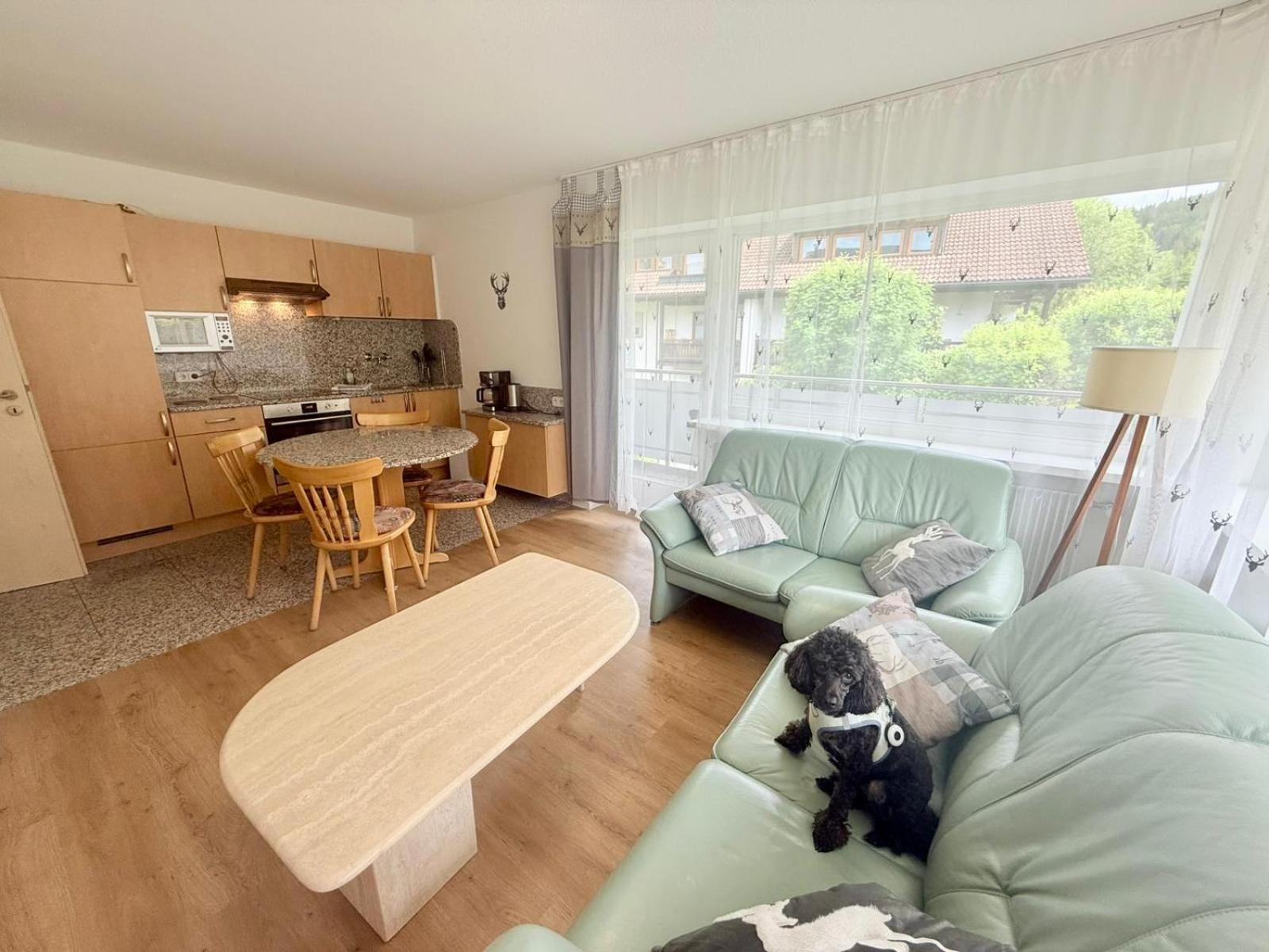 Ferienhaus Frei 4 Compact ฮินเทอร์ซาร์เทน ภายนอก รูปภาพ